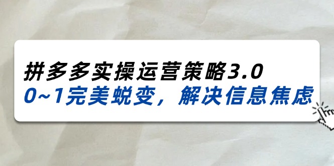 （11658期）2024_2025拼多多实操运营策略3.0，0~1完美蜕变，解决信息焦虑（38节）-轻创淘金网