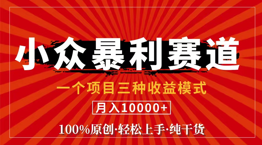 （11695期）视频号【中老年粉深信不疑】小众赛道 100%原创 手把手教学 新号3天收益…-轻创淘金网