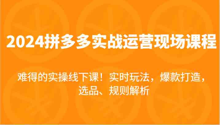 2024拼多多实战运营现场课，实时玩法，爆款打造，选品、规则解析，难得的实操线下课！-轻创淘金网