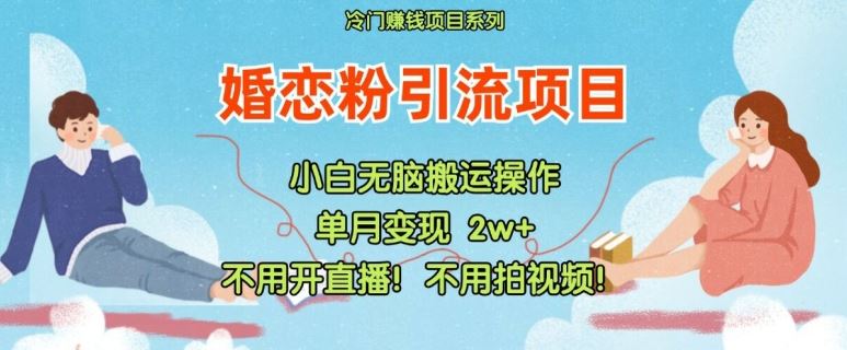 小红书婚恋粉引流，不用开直播，不用拍视频，不用做交付【揭秘】-轻创淘金网