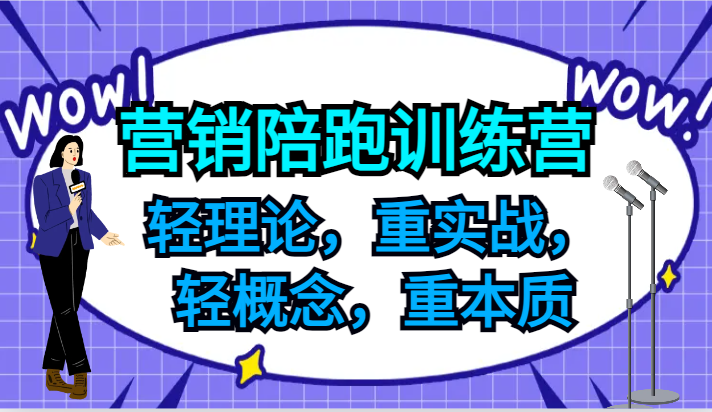 营销陪跑训练营，轻理论，重实战，轻概念，重本质，适合中小企业和初创企业的老板-轻创淘金网