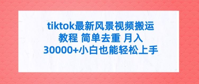 tiktok最新风景视频搬运教程 简单去重 月入3W+小白也能轻松上手【揭秘】-轻创淘金网