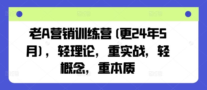 老A营销训练营(更24年7月)，轻理论，重实战，轻概念，重本质-轻创淘金网