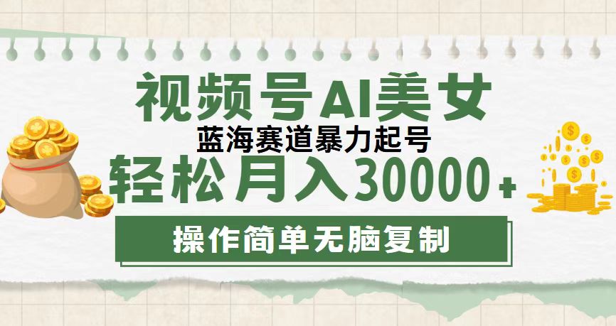 （12087期）视频号AI美女跳舞，轻松月入30000+，蓝海赛道，流量池巨大，起号猛，无…-轻创淘金网