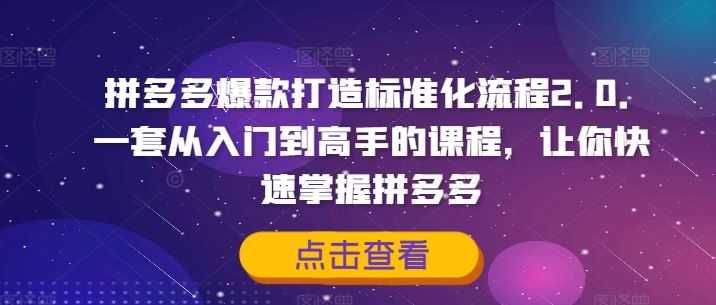 拼多多爆款打造标准化流程2.0，一套从入门到高手的课程，让你快速掌握拼多多-轻创淘金网