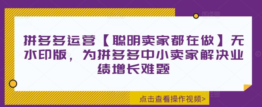 拼多多运营【聪明卖家都在做】无水印版，为拼多多中小卖家解决业绩增长难题-轻创淘金网